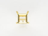 E2001 Princess DW Earring