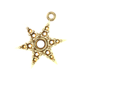C4101 - Star Charm