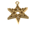 C4101 - Star Charm